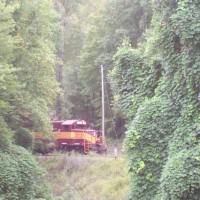 GSMR as seen through the kudzu