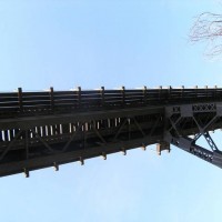 Tekoa
