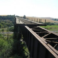 Tekoa