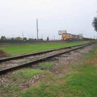 Rock Train