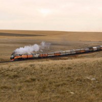 East_of_Shelby1