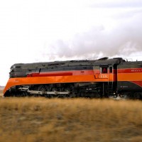 Pacing_4449