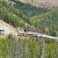 BNSF_4246_Shed_4D