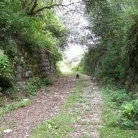 Linea S between Boca del Monte and Wimmer Bridge