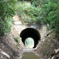 Linea S between Boca del Monte and Wimmer Bridge