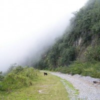 Back towards Boca del Monte