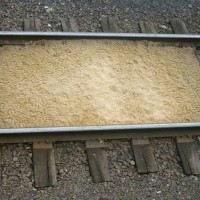Bird Tracks in Grain Spill