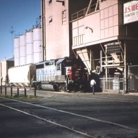 SP7267 (GP40-2) switching JS West Mill, Modesto, CA, 3/8/98