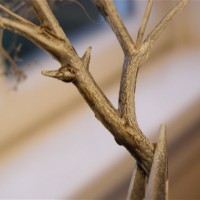 Tree step 3