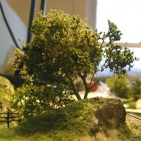 Tree finished.