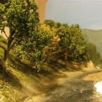 Trees along river