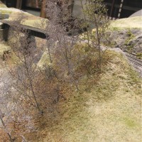trees