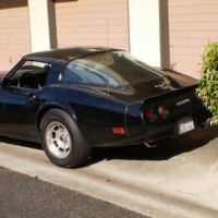 My 81 vette