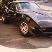 My 81 vette