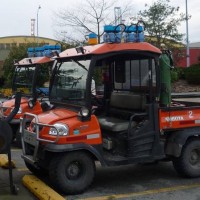 Mules