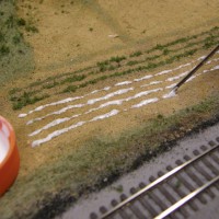 Building a vegetable field