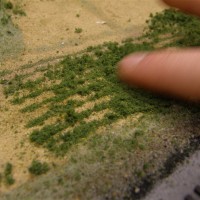 Building a vegetable field