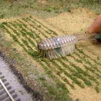 Building a vegetable field
