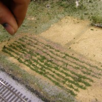 Building a vegetable field