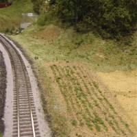 Building a vegetable field
