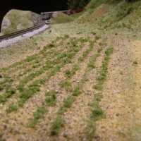 Building a vegetable field