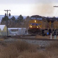 UP Coal Train