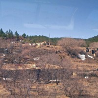 Morley