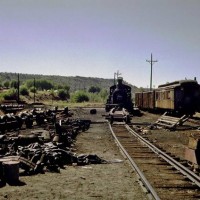 Yard in Durango