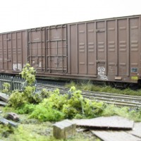 Recently weathered boxcars