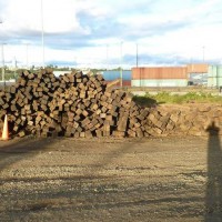 Goodbye Whatcom Yard