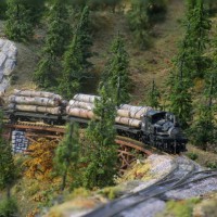 Log Train