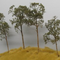 Southern yellow pine