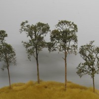 Southern yellow pine