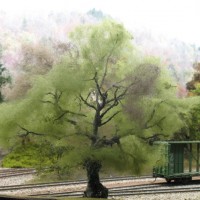 Tree making - teased WS poly fibre on wire former
