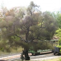 Tree making - painted poly fibre