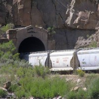 Hoppers at Beavertail Tunnel