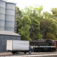More trees