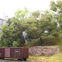 More trees