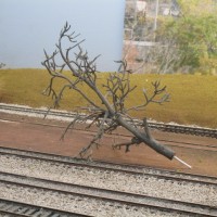 making a tree for Sweethome -1