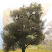making a tree for Sweethome - 6