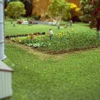 Garden_4