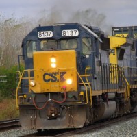 DSCF6599