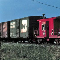 Freight Train