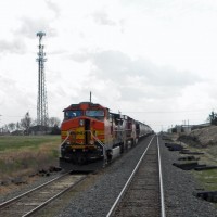 BNSF Freight