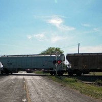 Rural Crossing