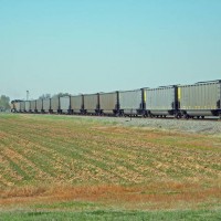 Coal Train