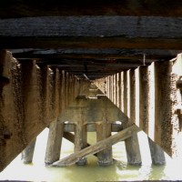 Under the boardwalk