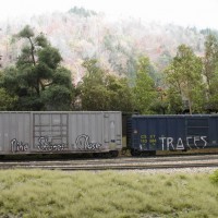 IMG_8991