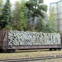 weathered freight cars