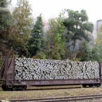 weathered freight cars